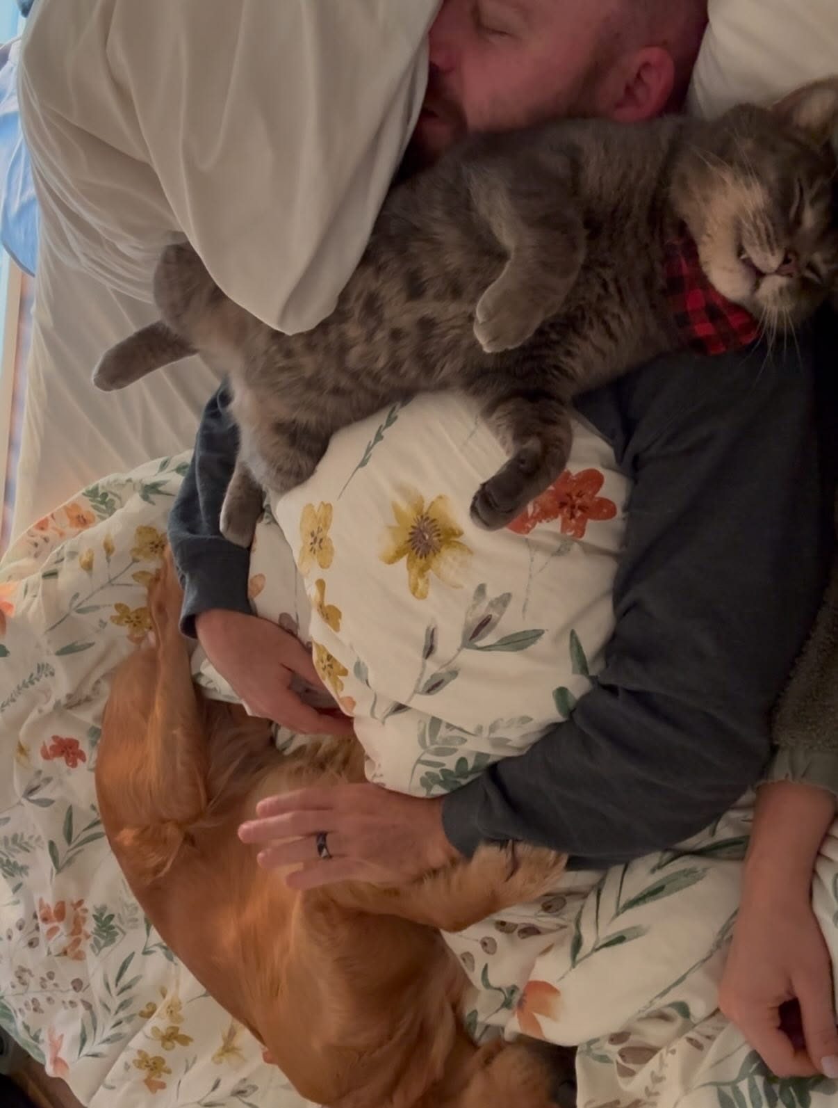 Chester asleep on Jordan's chest, with Rosie curled up alongside